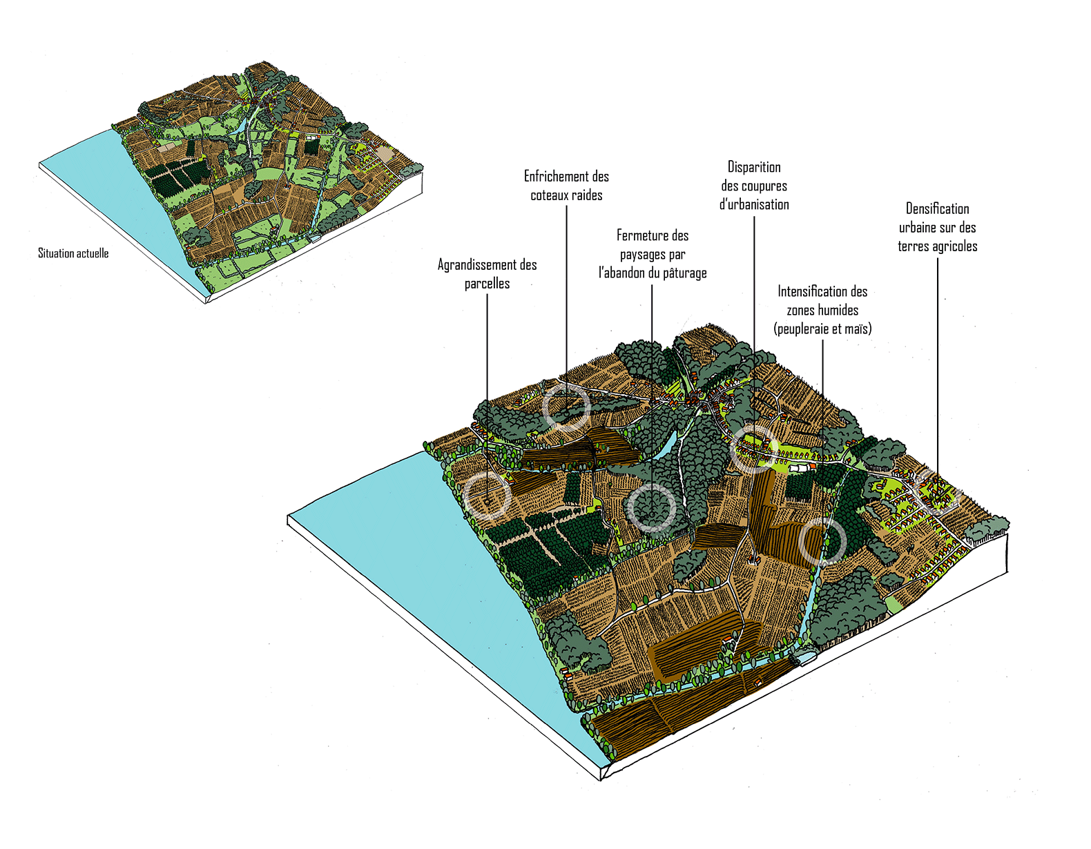 Dynamic Content Image