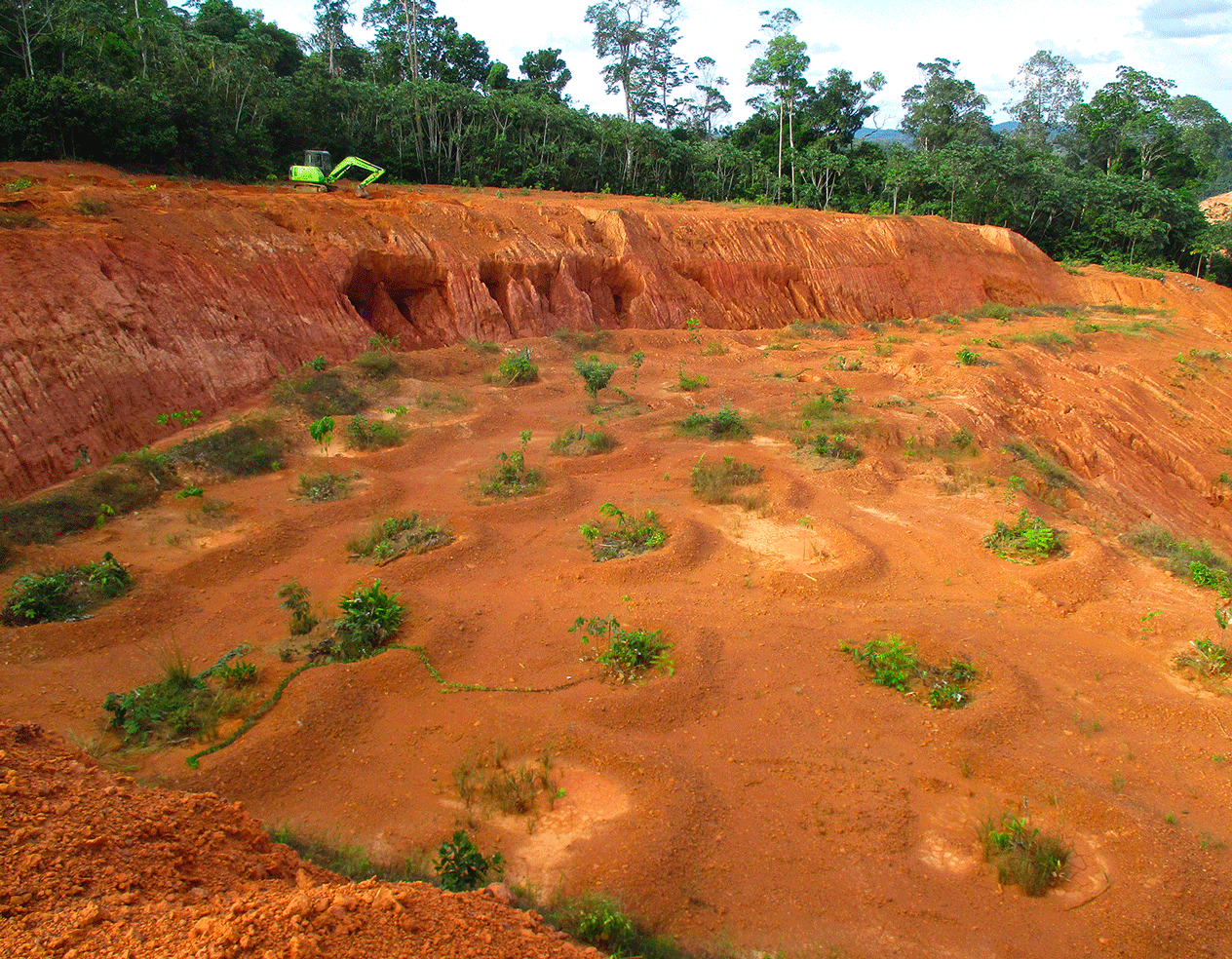 Dynamic Content Image