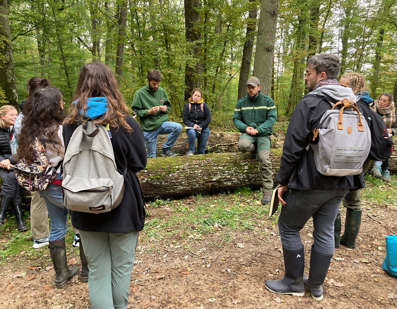 Dynamic Content Image