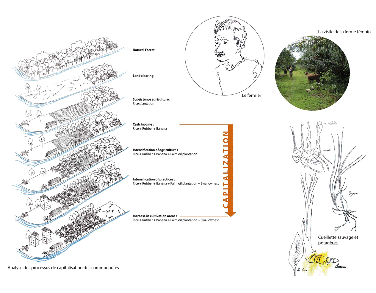 Dynamic Content Image